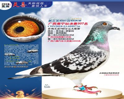 贵州天喜决赛207名