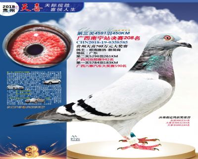 贵州天喜决赛208名