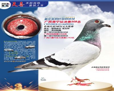 贵州天喜决赛209名