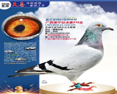 贵州天喜决赛210名