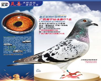 贵州天喜决赛211名