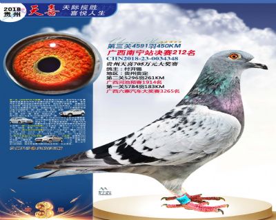 贵州天喜决赛212名