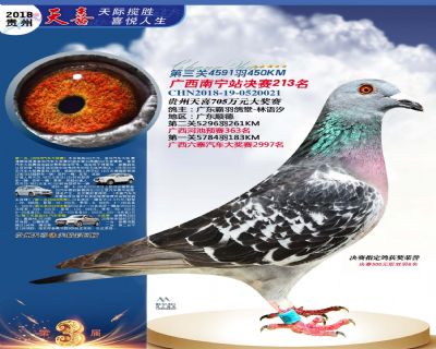 贵州天喜决赛213名