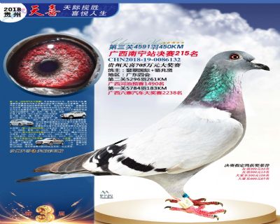 贵州天喜决赛215名