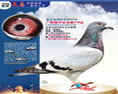 贵州天喜决赛216名