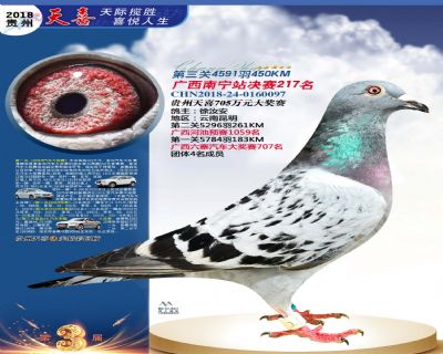 贵州天喜决赛217名