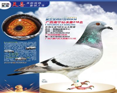 贵州天喜决赛218名