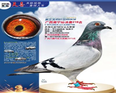 贵州天喜决赛219名