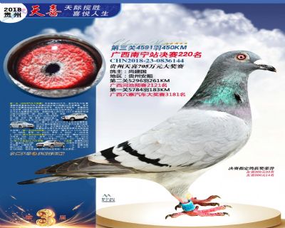 贵州天喜决赛220名