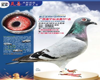 贵州天喜决赛221名