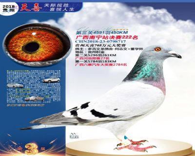 贵州天喜决赛222名