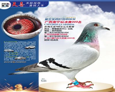 贵州天喜决赛223名
