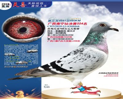 贵州天喜决赛224名