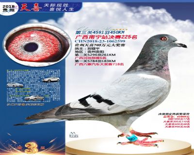 贵州天喜决赛225名