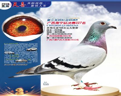 贵州天喜决赛227名
