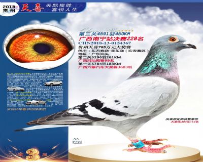 贵州天喜决赛228名
