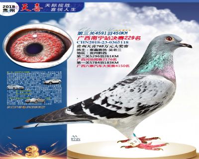 贵州天喜决赛229名