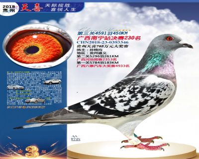 贵州天喜决赛230名