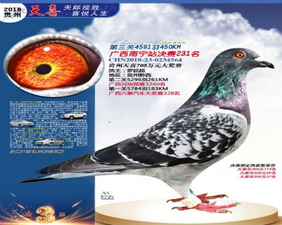 贵州天喜决赛231名