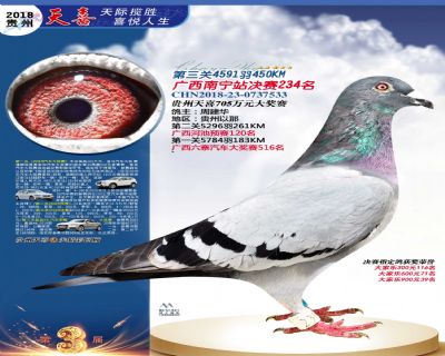 贵州天喜决赛234名