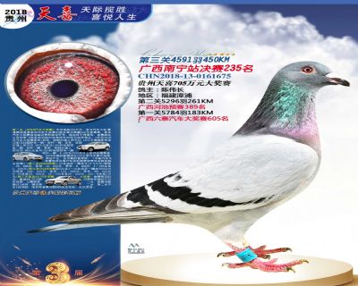 贵州天喜决赛235名