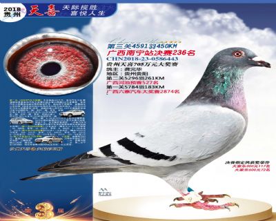 贵州天喜决赛236名