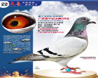 贵州天喜决赛239名