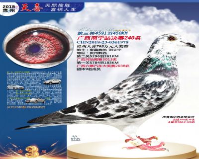 贵州天喜决赛240名