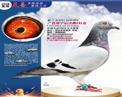 贵州天喜决赛241名