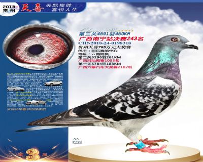 贵州天喜决赛243名