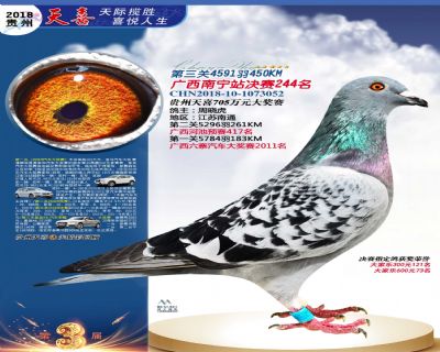 贵州天喜决赛244名