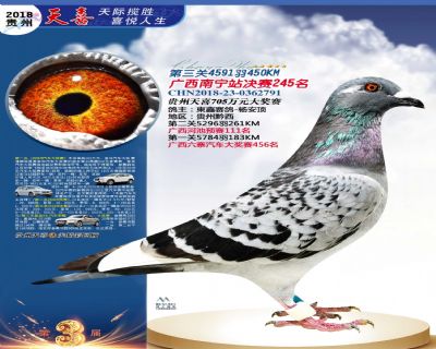 贵州天喜决赛245名