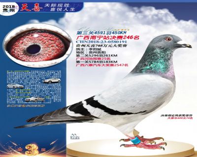 贵州天喜决赛246名