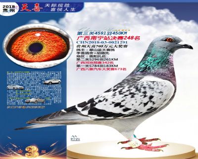 贵州天喜决赛248名