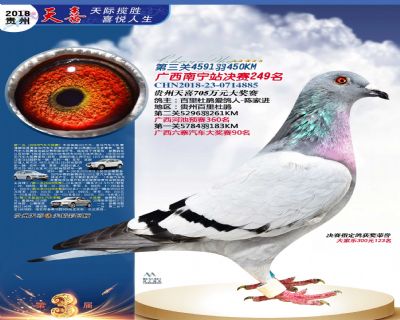 贵州天喜决赛249名
