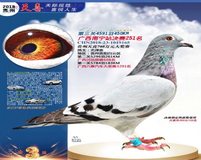 贵州天喜决赛251名