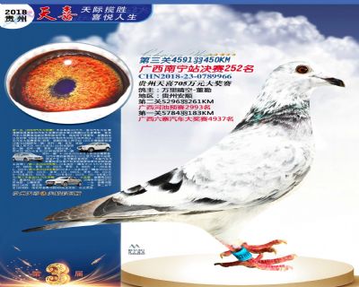 贵州天喜决赛252名