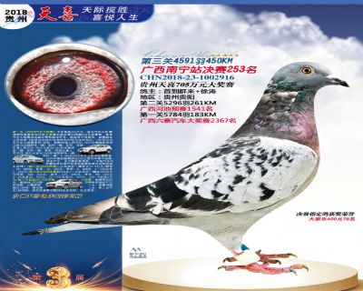 贵州天喜决赛253名