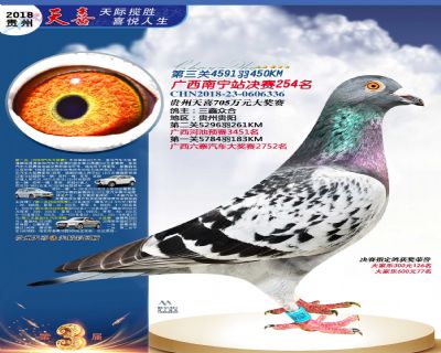 贵州天喜决赛254名