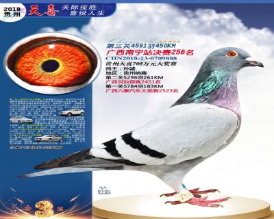 贵州天喜决赛256名