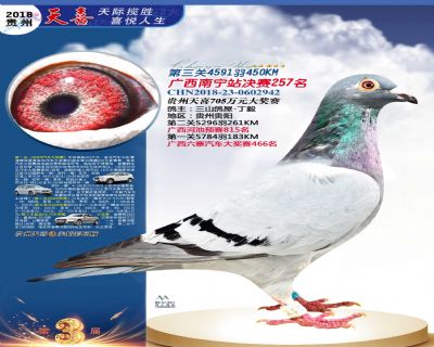 贵州天喜决赛257名