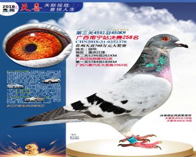 贵州天喜决赛258名