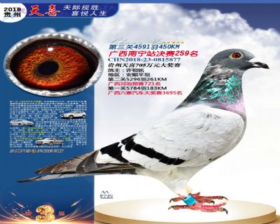 贵州天喜决赛259名