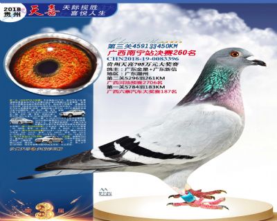 贵州天喜决赛260名