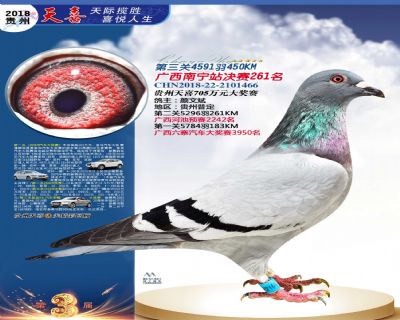 贵州天喜决赛261名