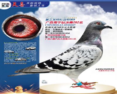 贵州天喜决赛262名