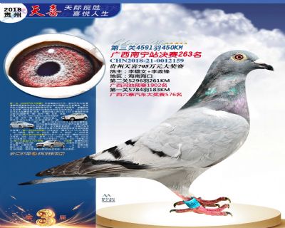 贵州天喜决赛263名
