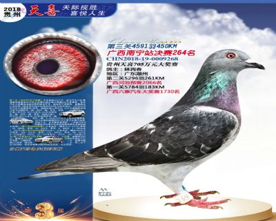 贵州天喜决赛264名