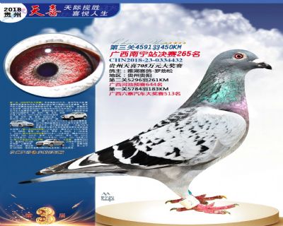 贵州天喜决赛265名