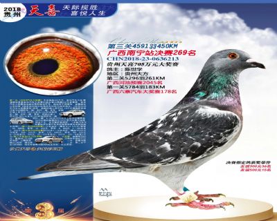 贵州天喜决赛269名